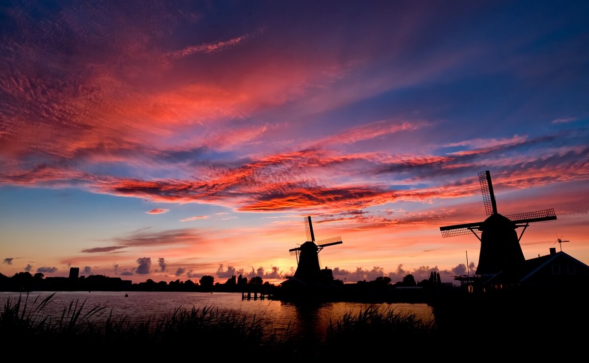 tanie busy do holandii