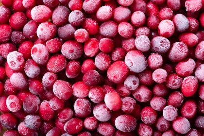 żurawina liofilizowana